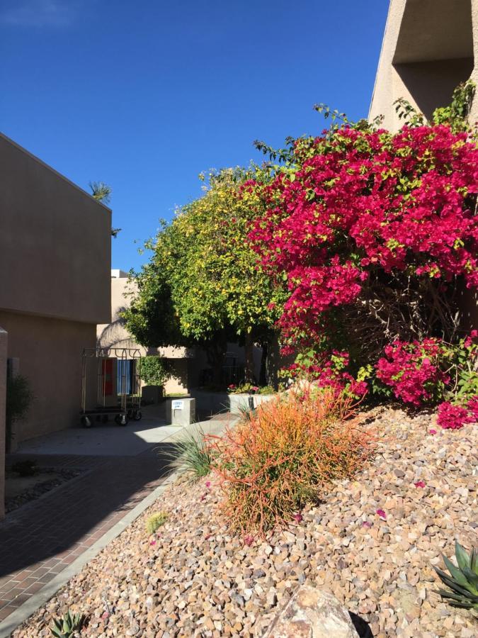 פאלם ספרינגס Getaways At Vista Mirage Resort מראה חיצוני תמונה